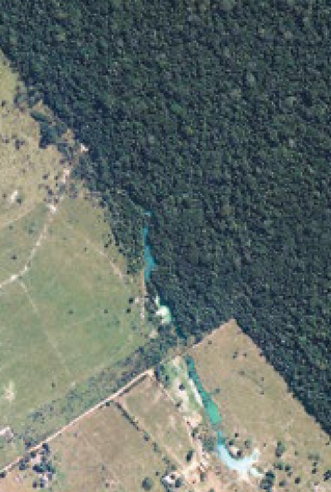 Satellite image showing forest boundary and open land used for vegetation analysis and forest or national park management