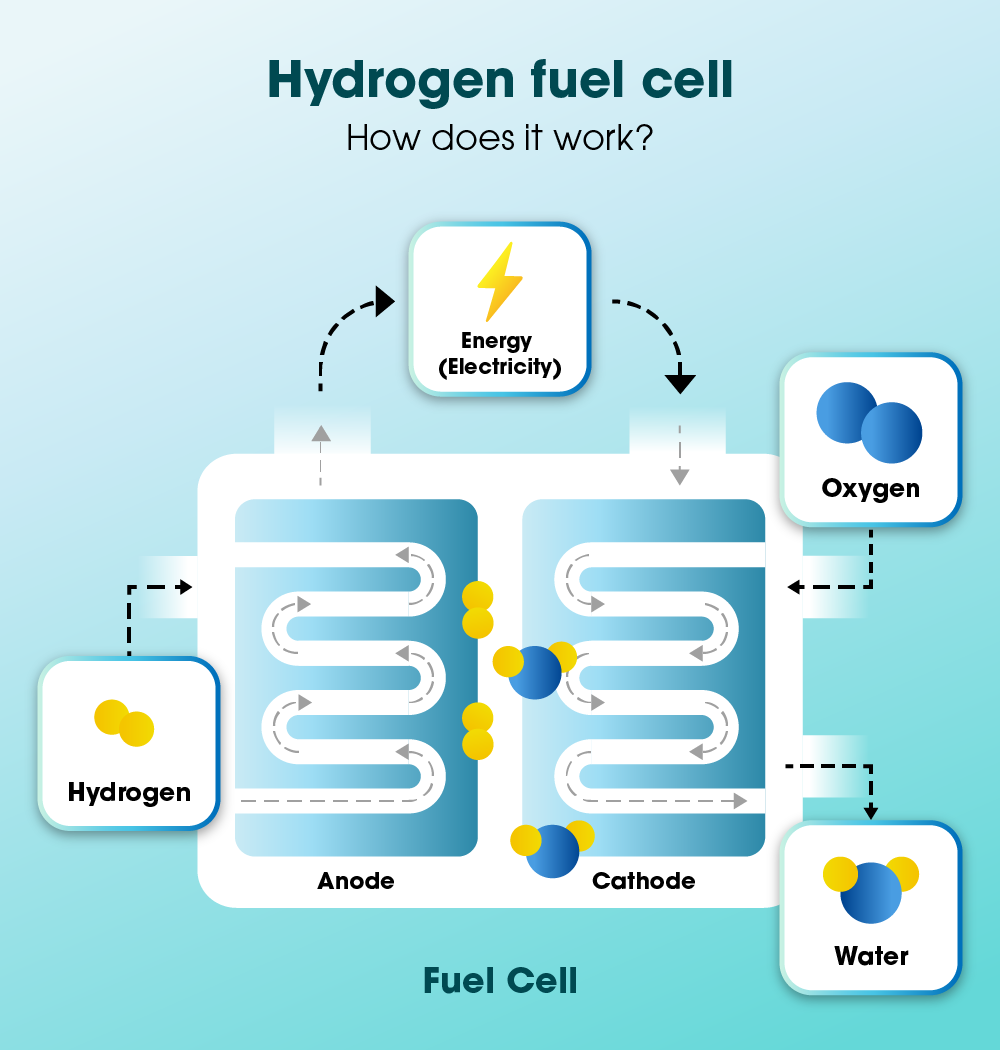 Hydrogen fuel cell infographic illustrating how hydrogen is converted into electricity 