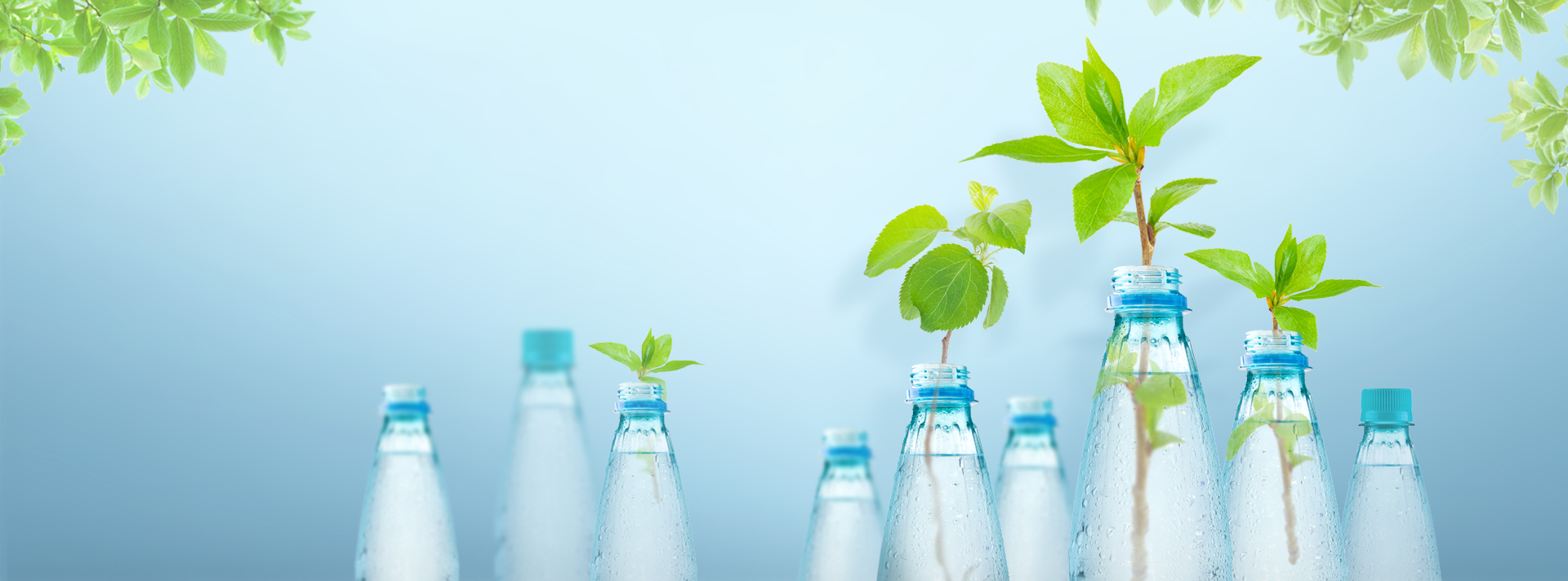 Developing Reliable Solutions with Eco-friendly Chemistry Key visual image