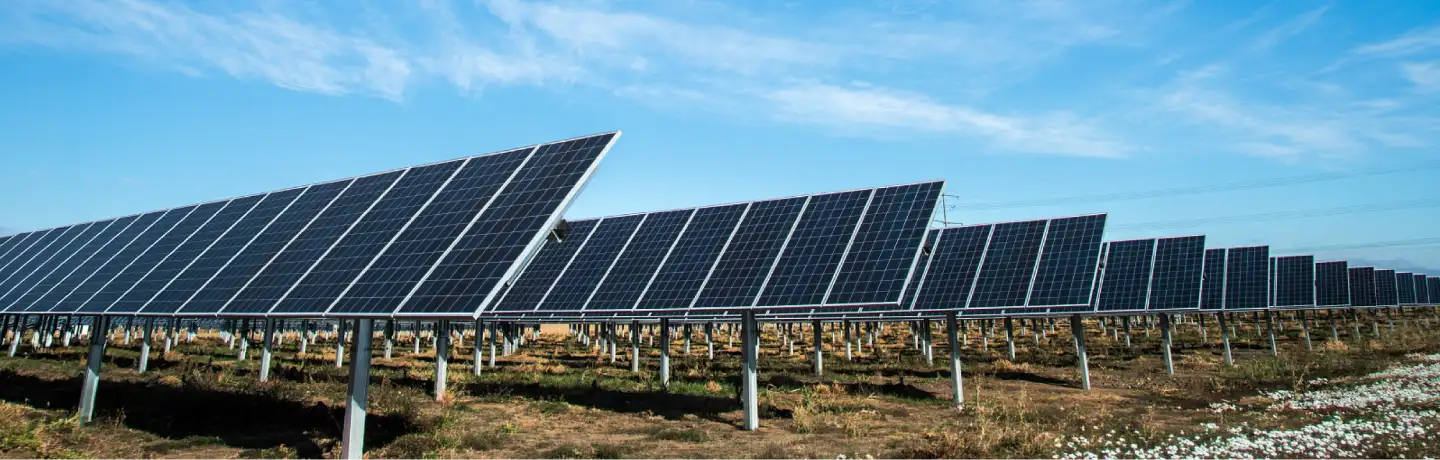 A row of solar panels
